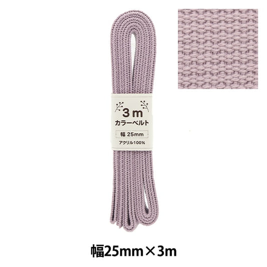 Handwerkband "Farbgürtelbreite 2,5 cm x 3m lila AT-06"