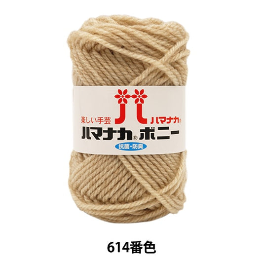 Yarn "Hamanaka Bonnie No. 614 color" Hamanaka