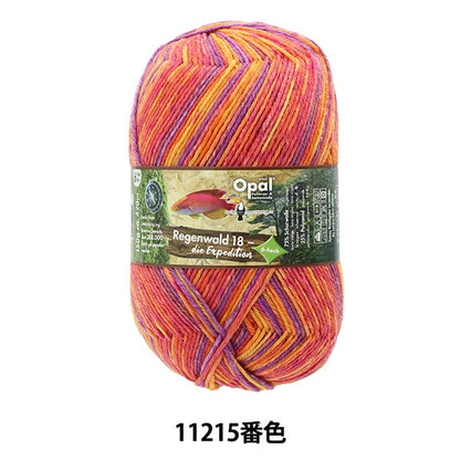 ソックヤーン 毛糸 『レーゲンヴァルト18 6ply 11215番色』 Opal オパール