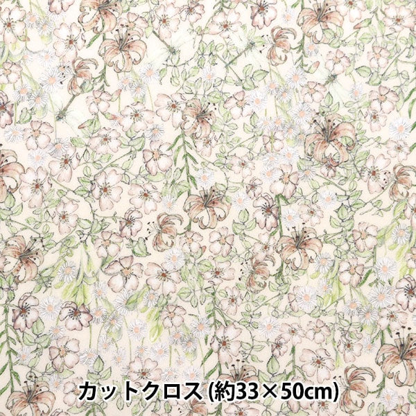 Fabric "Liberty Liberty Print LaminateCut Cloth Approximately 30 x 50cm Mrs. Monroe CR3635158J22B] Liberty JAPAN