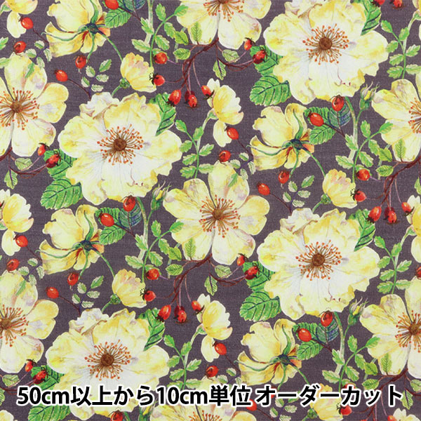 [來自數量5] 織物 “ Liberty Fabric Liyosel草坪布 Doreset Rose DC30096-BS] Liberty Japan