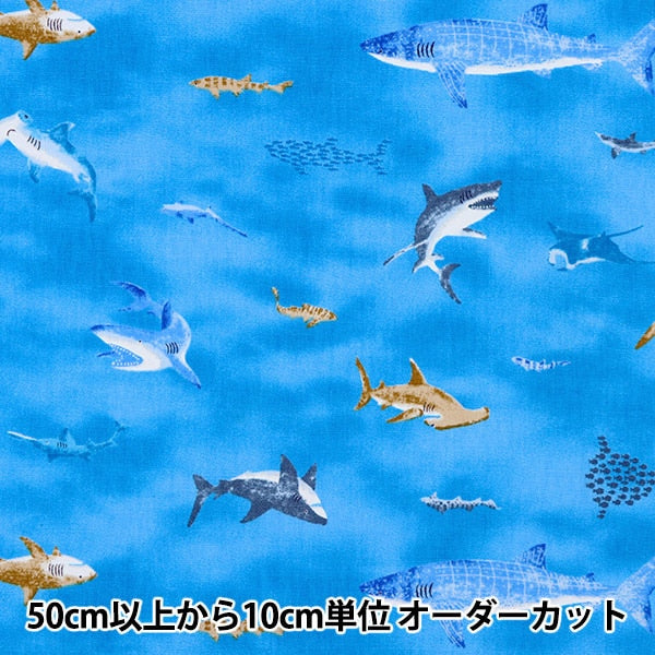 [From quantity 5] Fabric "Broad Sea Friend Blue SP2311-15C"