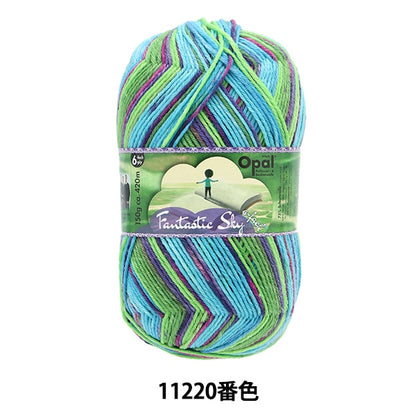 Filato per calze Filato Fantastics Kai 6ply 11220 Color "Opal Opal