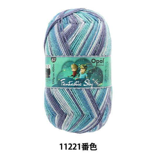 양말 원사 털실 "Fantastics Kai 6Ply 11221 컬러"Opal Opal