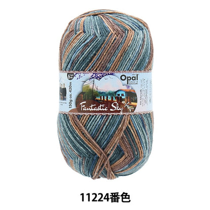 خيوط الجورب خيوط الغزل "Fantastic Sky 6ply 11224th color" أوبال أوبال