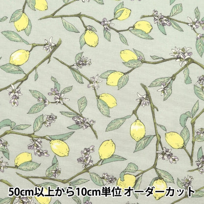 [De la cantidad 5] Fabric "Gray Lemon con ramas anchas KTS6951-C" Cotton Kobayashi Cotton Kobayashi Kobayashi Fibra