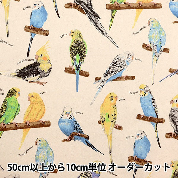 [수량 5에서] 천・원단 "Twill Print Print Parakeet Generation KTS6954-A" COTTON KOBAYASHI