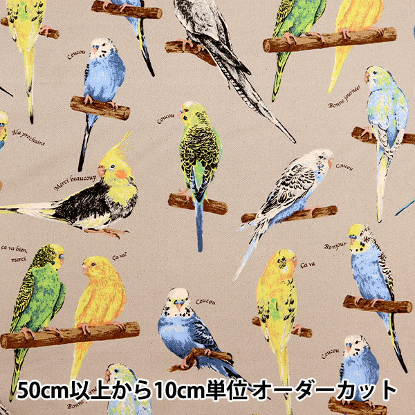 【数量5から】 生地 『ツイルプリント インコ グレー KTS6954-B』 COTTON KOBAYASHI コットンこばやし 小林繊維