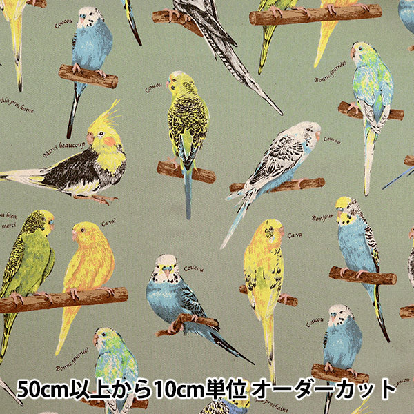 [From quantity 5] Fabric "Twill printed parakeet green KTS6954-D" COTTON KOBAYASHI