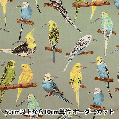 [الكمية من 5] قماش "Twill Print Parakeet Green KTS6954-D" قطن كوباياشي نسيج كوباياشي