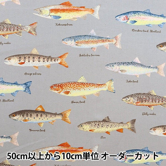 [De la quantité 5] Tissu "Twill Print Trout KTS6959-B" Coton Kobayashi Cotton Kobayashi Kobayashi Fibre