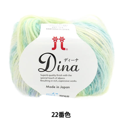 Autunno e invernoFilato "Dena 22nd Color" Hamanaka