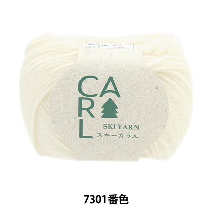 Herbst und WinterGarn "Ski Caral 7301 Farbe" Skiyarn Skigarn