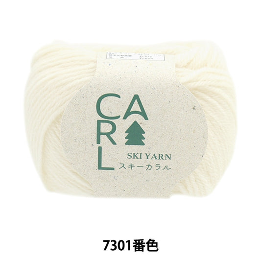 Herbst und WinterGarn "Ski Caral 7301 Farbe" Skiyarn Skigarn