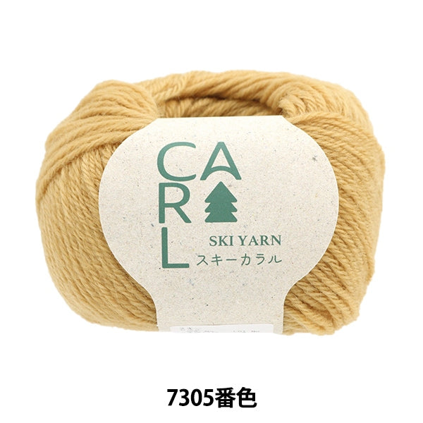 Herbst und WinterGarn "Ski Caral 7305 Farbe" Skiyarn Skigarn