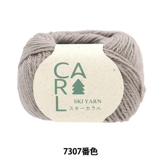 Herbst und WinterGarn "Ski Caral 7307 Farbe" Skiyarn Skigarn