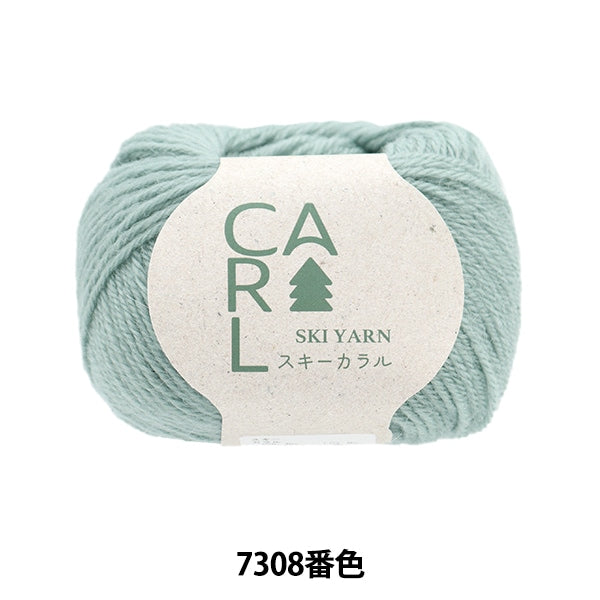 Herbst und WinterGarn "Ski Caral 7308 Farbe" Skiyarn Skigarn