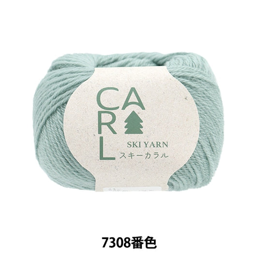 Herbst und WinterGarn "Ski Caral 7308 Farbe" Skiyarn Skigarn