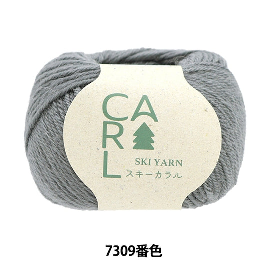 Herbst und WinterGarn "Ski Caral 7309 Farbe" Skiyarn Skigarn