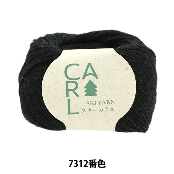 Herbst und WinterGarn "Ski Caral 7312 Farbe" Skiyarn Skigarn