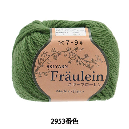 Осень и зимаПряжа «Ski Floren 2953 Color» Skiyarn Ski пряжа