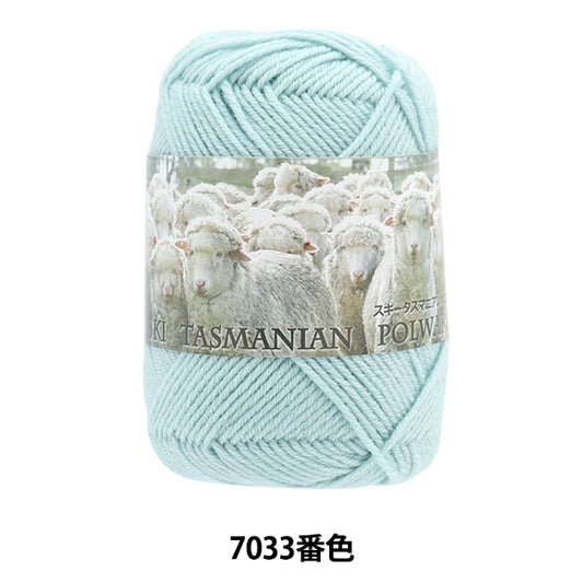 秋冬毛糸 『スキータスマニアンポロワース 7033番色』 SKIYARN スキーヤーン
