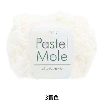 الخريف/الشتاءخيوط الغزل "باستيل مول اللون الثالث"