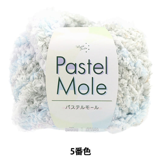 Fall and winterYarn "Pastel Mall 5th color"