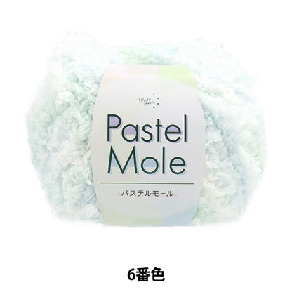 Fall and winterYarn "Pastel Mall 6th color"
