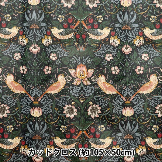 Fabric "V & A Sichtsinslaminierter Schnittkreuz ca. 105 cm x 50 cm Erdbeerdieb C-R-VA10001-E"