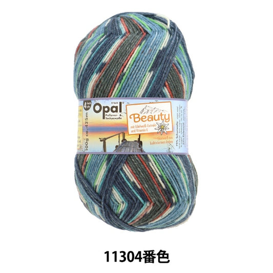 ソックヤーン 毛糸 『ビューティー3 ウェルネス 4ply 11304番色』 Opal オパール