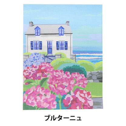 Embroidery kit "Print Canvas Brittany C2210" DMC Dewem Sea