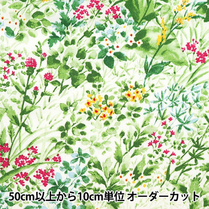 [De la quantité 5] Tissu "Palette de travail à feuilles Nitti Green frais 144-8049-b1" [Yuzawaya Original]