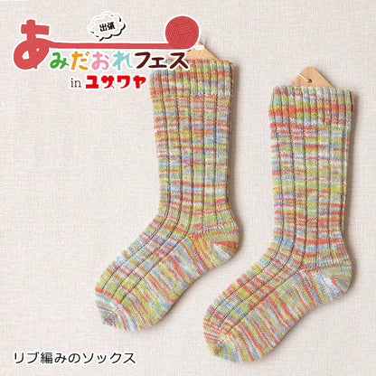 뜨개질 키트 "Ribbean Socks 따뜻한 색 H167-230-208" Hamanaka