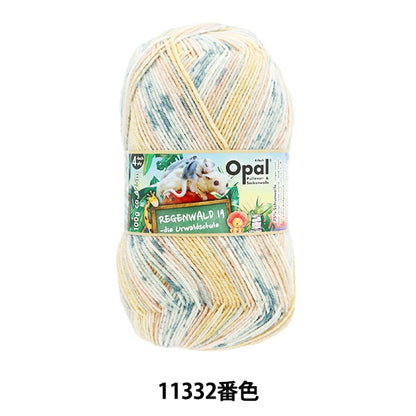 Fil à chaussettes pelote de laine "Legen Valdo 19 4ply 11332 couleur" opale opale