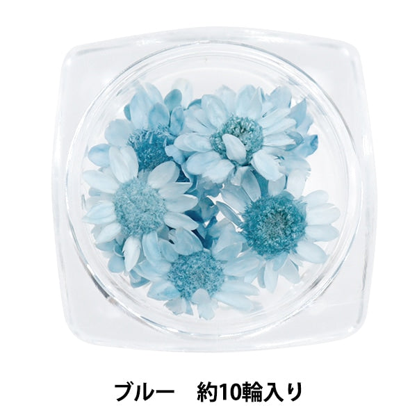 Material de resina "Star Flower Blue"