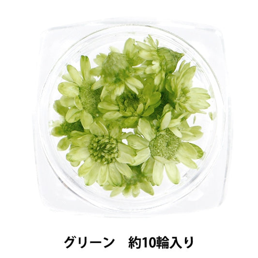 Resin material "Star Flower Green"