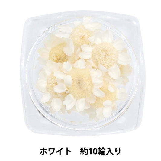 Resin material "Star Flower White"