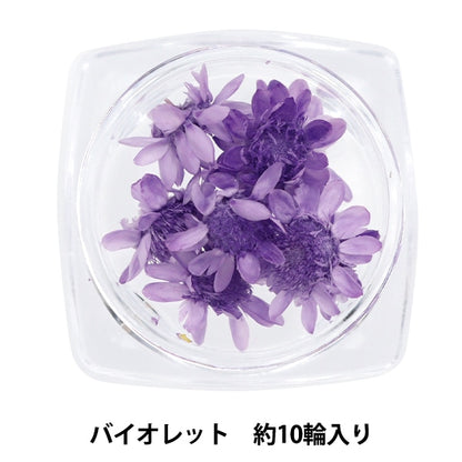 Resin material "Star Flower Violet"