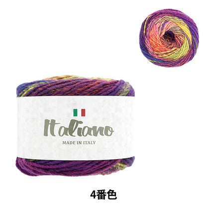 Autunno e invernoFilato "Italiano 4th Color" World Festa Festa