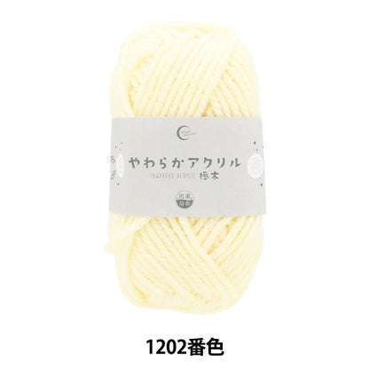 Yarn "Antibacterial Soft Acrylic Extra Thick 1202 Color generation"
