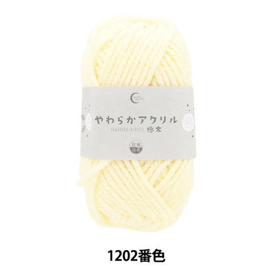Yarn "Antibacterial Soft Acrylic Extra Thick 1202 Color generation"