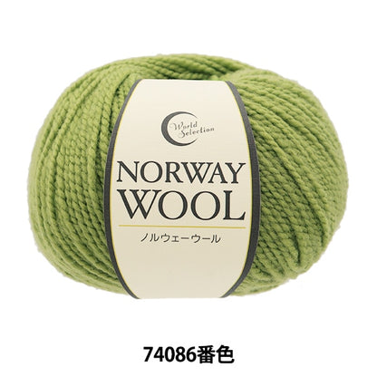 Autunno e invernoFilato "Norwegian Wool 74086 Color" World Festa Festa