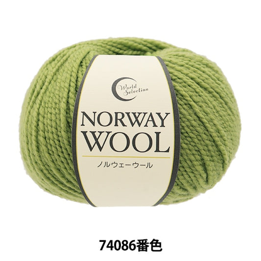 Fall and winterYarn "Norwegian wool 74086 color" WORLD FESTA World Festa