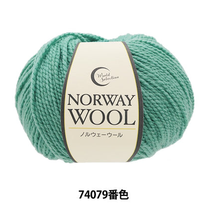 Autunno e invernoFilato "Norwegian Wool 74079 Color" World Festa Festa