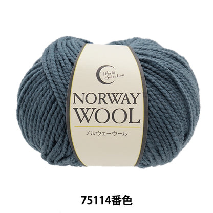 Autunno e invernoFilato "Norwegian Wool 75114 Color" World Festa Festa