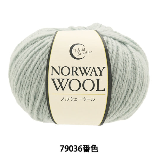 Fall and winterYarn "Norwegian wool 79036 color" WORLD FESTA World Festa