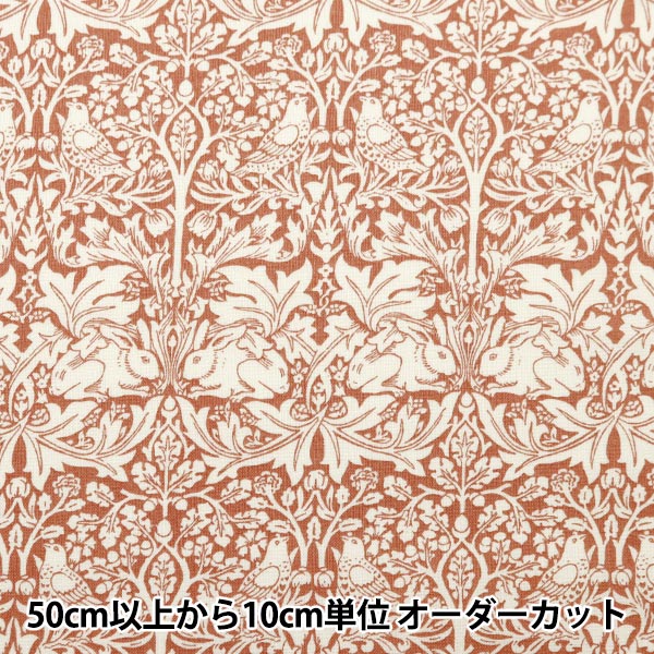 [From quantity 5] Fabric 『Sheeting V & A Brother Rabbit Orange VA10013-A]