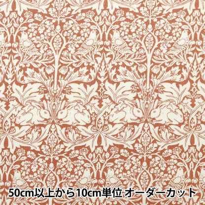 [From quantity 5] Fabric 『Sheeting V & A Brother Rabbit Orange VA10013-A]