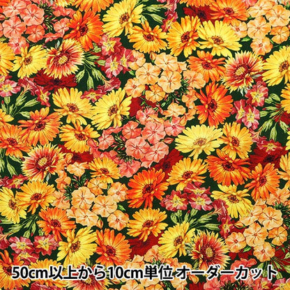 [De 5] Fabric "USA Cotton Flower Fairies Patrón de flores DDC1525-SAFfr"